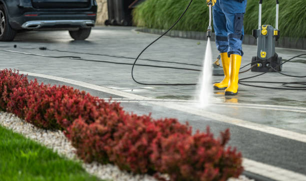 Best Animal Enclosure Cleaning  in Johnstonville, CA
